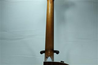 TAYLOR GUITARS 214CE DLX